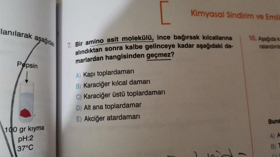 lanılarak aşağıdak
Pepsin
100 gr kıyma
pH:2
37°C
Kimyasal Sindirim ve Emilia
7. Bir amino asit molekülü, ince bağırsak kılcallarına
alındıktan sonra kalbe gelinceye kadar aşağıdaki da-
marlardan hangisinden geçmez?
A) Kapı toplardamarı
B) Karaciğer kılcal