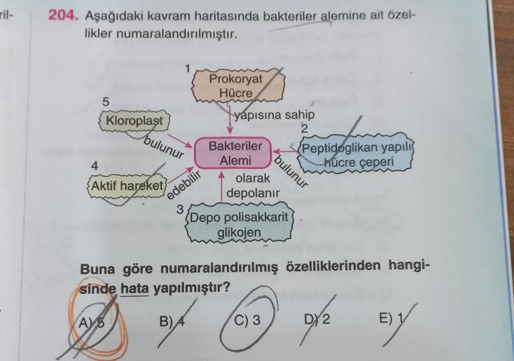 ril-
204. Aşağıdaki kavram haritasında bakteriler alemine ait özel-
likler numaralandırılmıştır.
5
Kloroplast
4
Aktif hareket)
AYB
1
bulunur
Prokoryat
Hücre
edebilir
yapısına sahip
2
Bakteriler
Alemi
olarak
depolanır
3
(Depo polisakkarit
glikojen
bulunur
B