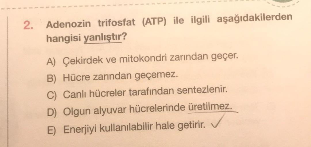 2. Adenozin trifosfat (ATP) ile ilgili aşağıdakilerden
hangisi yanlıştır?
A) Çekirdek ve mitokondri zarından geçer.
B) Hücre zarından geçemez.
C) Canlı hücreler tarafından sentezlenir.
D) Olgun alyuvar hücrelerinde üretilmez.
E) Enerjiyi kullanılabilir hal