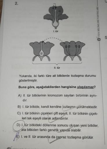 2.
1. tür
ww
II. tür
Yukarıda, iki farklı türe ait bitkilerde tozlaşma durumu
gösterilmiştir.
Buna göre, aşağıdakilerden hangisine ulaşılamaz?
FEN BİLİMLERİ YAYINLARI -
A) II. tür bitkilerinin kromozom sayıları birbirinin aynı-
dır.
B) 1. tür bitkide, kend