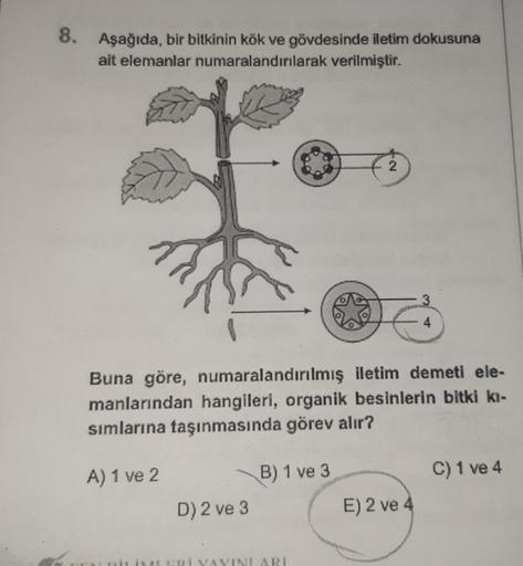 8. Aşağıda, bir bitkinin kök ve gövdesinde iletim dokusuna
ait elemanlar numaralandırılarak verilmiştir.
D) 2 ve 3
B) 1 ve 3
2
Buna göre, numaralandırılmış iletim demeti ele-
manlarından hangileri, organik besinlerin bitki kı-
sımlarına taşınmasında görev