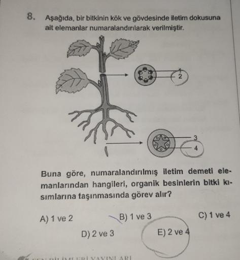 8. Aşağıda, bir bitkinin kök ve gövdesinde iletim dokusuna
ait elemanlar numaralandırılarak verilmiştir.
D) 2 ve 3
B) 1 ve 3
2
Buna göre, numaralandırılmış iletim demeti ele-
manlarından hangileri, organik besinlerin bitki kı-
sımlarına taşınmasında görev 