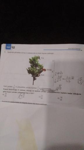 TEST 12
4. Aşağıdaki görselde A, B ve C noktalarında üç farkli hayvan verilmiştir.
Kuş
Kedi
Sincap
17
25
B
Asaduda bir stadyumdaki iki bölgede oturan kişi sayısı verilmiştir.
A
7
Kedi, yerden
m yükseklikte, sincap kediden
25
5m yüksekliktedir.
Kuşun bulund