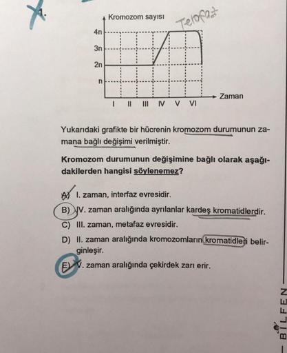 X
4n
3n
2n
n
Kromozom sayısı
Telofaz
| || ||| IV V VI
→ Zaman
Yukarıdaki grafikte bir hücrenin kromozom durumunun za-
mana bağlı değişimi verilmiştir.
Kromozom durumunun değişimine bağlı olarak aşağı-
dakilerden hangisi söylenemez?
I. zaman, interfaz evres