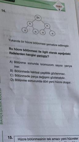 14.
n
n
2n
15.
n
n
TEST
2
Yukarıda bir hücre bölünmesi şematize edilmiştir.
Bu hücre bölünmesi ile ilgili olarak aşağıdaki
ifadelerden hangisi yanlıştır?
A) Bölünme sonunda kromozom sayısı yarıya
iner.
B) Bölünmede kalıtsal çeşitlilik gözlenmez.
C) Bölünmede parça değişimi gözlenebilir.
D) Bölünme sonucunda dört yeni hücre oluşur.
Hücre bölünmesinin tek amacı yeni hücreler