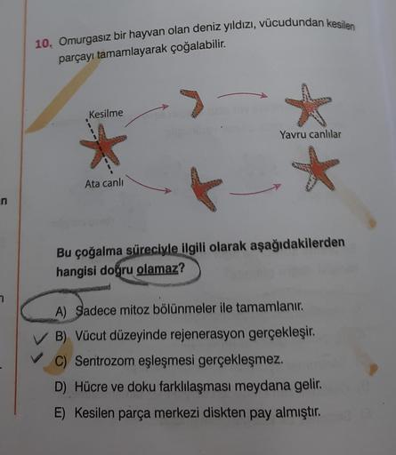 n
7
10. Omurgasız bir hayvan olan deniz yıldızı, vücudundan kesilen
parçayı tamamlayarak çoğalabilir.
Kesilme
Ata canlı
Yavru canlılar
Bu çoğalma süreciyle ilgili olarak aşağıdakilerden
hangisi doğru olamaz?
A) Sadece mitoz bölünmeler ile tamamlanır.
B) Vü