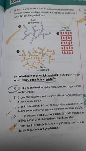 1.
Bir bitki hücresinde bulunan iki farklı polisakkarit ile mantar
hücresinden alınan depo polisakkarit çeşitlerinin dallanma
durumları şekilde gösterilmiştir.
2
Depo
polisakkarit
Depo
polisakkarit
Yapısal
polisakkarit
3. Or
like
Bu polisakkarit çeşitleri