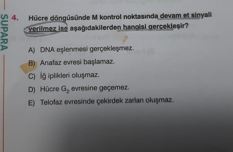 SUPARA
4.
Hücre döngüsünde M kontrol noktasında devam et sinyali
verilmez ise aşağıdakilerden hangisi gerçekleşir?
A) DNA eşlenmesi gerçekleşmez.
B) Anafaz evresi başlamaz.
C) İğ iplikleri oluşmaz.
D) Hücre G₂ evresine geçemez.
E) Telofaz evresinde çekirde