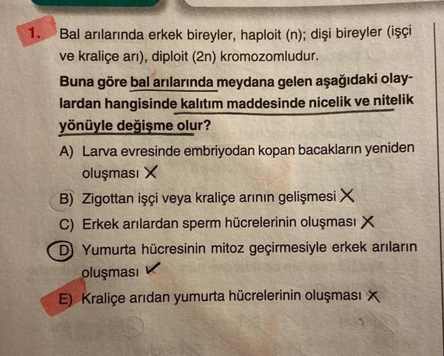 1.
Bal arılarında erkek bireyler, haploit (n); dişi bireyler (işçi
ve kraliçe ari), diploit (2n) kromozomludur.
Buna göre bal arılarında meydana gelen aşağıdaki olay-
lardan hangisinde kalıtım maddesinde nicelik ve nitelik
yönüyle değişme olur?
A) Larva ev