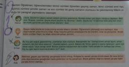 na-
É
1. Nermin Öğretmen; öğrencilerinden birinci cümlesi öğrenilen geçmiş zaman, ikinci cümlesi emir kipi,
üçüncü cümlesi şimdiki zaman ve son cümlesi de geniş zamanın olumsuzu ile çekimlenmiş fiillerin ol-
duğu bir paragraf yazmalarını istemiştir.
X
Harun
Öykü
Erhan
Ada
Leyla, Şeyda'nın geçen seneki doğum gününe gidememiş. Bundan dolayı çok üzgün olduğunu söylüyor. Ben
ona "Boşver, üzülme. Şeyda böyle şeylere hiç takılmaz." dedim. Şeyda ise "O takılmaz belki ama ben onun
en mutlu gününde yanında olmak isterdim." dedi.
Geçen hafta büyük bir hızla çıkmış sorular kitabını çözdüm. Öğrencilerin çözmediği soru kalmasın, diye
düşünülerek çıkarılmış bu kitap. Kitap hoşuma gidince arkadaşlarıma da önerdim, onlar da çözüyorlar. Ancak
bizim sınıftan Hayri, bu kitabı eline bile almaz, eminim.
Bu kış çok soğuk geçecekmiş, uzamanlar öyle söylüyor. Babaannem de "Derhal önlem almak lazım; aman
evladım, bol bol odun alasınız." diyerek babamı uyardı. Babam da "Anne, gelinin o işlerle ilgileniyor; senin için
rahat olsun." diye cevap verdi. Bunun üzerine babaannem de kızarak "Valla senden bir baltaya sap olmaz.
Hiç bu işler kadın kısmına bırakılır mı?" dedi.
Mehmet, geçen yaz katıldığı yarışmada birinci olmuş. Kolaysa bu seneki yarışta birinci olsun. Bir kere birinci
oldu diye kendine gereğinden fazla güveniyor ve hiç çalışmıyor. Böyle giderse değil bu seneki yarışta hiçbir
yarışta birinci olamaz.