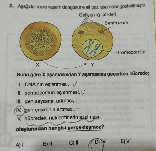 2. Aşağıda hücre yaşam döngüsüne ait bazı aşamalar gösterilmiştir.
Gelişen iğ iplikleri
220
A) I
B) II
W
X
Y
Buna göre X aşamasından Y aşamasına geçerken hücrede;
I. DNA'nın eşlenmesi, V
II. sentrozomun eşlenmesi, V
III. gen sayısının artması,
IV. gen çeşi