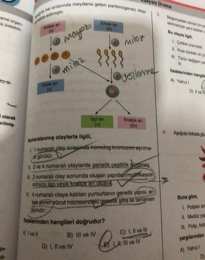 reme organ-
a üretebilir.
olarak
erilmiş-
Ada bal anlarında meydana gelen partenogenez olayı
lize edilmiştir.
Kralice an
Erkek an
Mayoz
miraz
Erkek an
İşçi an
(n)
D) I, II ve IV
B) III ve IV
mitoz
Numaralanmış olaylarla ilgili,
1 numaralı olay sırasında ho