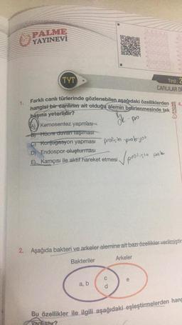 1.
PALME
YAYINEVİ
TYT
Farklı canlı türlerinde gözlenebilen aşağıdaki özelliklerden
hangisi bir canlının ait olduğu alemin belirlenmesinde tek
başına yeterlidir?
A) Kemosentez yapması
B) Hücre duvan taşıması
C) Konjugasyon yapması prolista probyot
D) Endospor oluşturması
E) Kamçısı ile aktif hareket etmesi.
Vanlistir?
pro
a, b
A B
✓ protisto prole
e
12
14
Test: 2
CANLILAR DE
PALME
YAYINEVİ
15
2. Aşağıda bakteri ve arkeler alemine ait bazı özellikler verilmiştir
Bakteriler
Arkeler
16
Bu özellikler ile ilgili aşağıdaki eşleştirmelerden hang