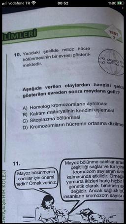vodafone TR
İLİMLERİ
BAHÇEŞEHİR KOLEJI
10. Yandaki şekilde mitoz hücre
bölünmesinin bir evresi gösteril-
mektedir.
11.
00:52
88
Mayoz bölünmenin
canlılar için önemi
nedir? Ömek veriniz.
%80
TEST
2
88
88
68
Aşağıda verilen olaylardan hangisi şekil
gösterilen evreden sonra meydana gelir?
A) Homolog kromozomların ayrılması
B) Kalıtım materyalinin kendini eşlemesi
C) Sitoplazma bölünmesi
D) Kromozomların hücrenin ortasına dizilme
Mayoz bölünme canlılar aras
çeşitliliği sağlar ve tür için
kromozom sayısının sab
kalmasında etkilidir. Örneği
yumurta ikizleri hariç hiçbir
genetik olarak birbirinin ay
değildir. Ancak sağlıklı bi
insanların kromozom sayısı