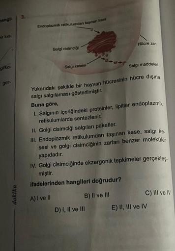 mangl-
bir kıs
gliko.
gar-
dakika
Endoplazmik retikulumdan taginan kese
Golgi cisimciği
Salgı kesesi
Hücre zan
Yukarıdaki şekilde bir hayvan hücresinin hücre dışına
salgı salgılaması gösterilmiştir.
Buna göre,
1. Salgının içeriğindeki proteinler, lipitler 