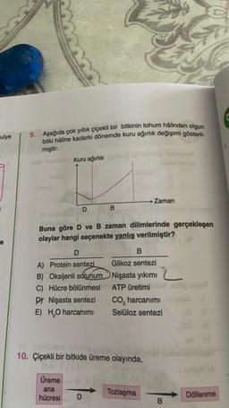 culye
e
9. Aşağıda çok yıllık çiçekli bir bitkinin tohum hâlinden olgun
bitki hâline kadarki dönemde kuru ağırlık değişimi gösteril-
miştir.
Kuru ağırlık
D
A) Protein sentezi
B) Oksijenli solunum
C) Hücre bölünmesi
Nişasta sentezi
E) H₂O harcanımı
Buna göre D ve B zaman dilimlerinde gerçekleşen
olaylar hangi seçenekte yanlış verilmiştir?
Üreme
ana
hücresi
B
10. Çiçekli bir bitkide üreme olayında,
av
D
S
→ Zaman
B
Glikoz sentezi
Nişasta yıkımı
ATP üretimi
CO₂ harcanımı
Selüloz sentezi
Tozlaşma
B
Döllenme