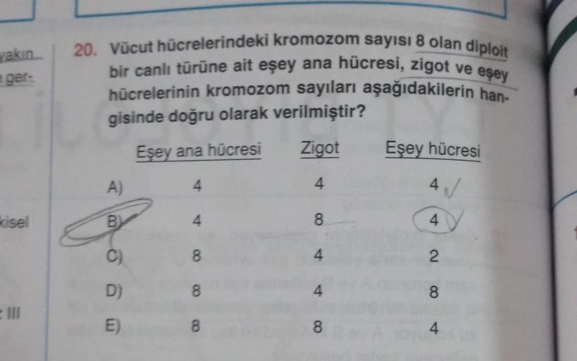 yakın
e ger-
kisel
20. Vücut hücrelerindeki kromozom sayısı 8 olan diploit
bir canlı türüne ait eşey ana hücresi, zigot ve eşey
hücrelerinin kromozom sayıları aşağıdakilerin han-
gisinde doğru olarak verilmiştir?
Eşey ana hücresi
Zigot
4
4
A)
B
D)
E)
8
8
8