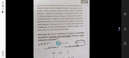 VOLTE 31
10:52
1.
Canlılar arasında ortak protein oranı, sınıflandırma yapılırken
dikkate alınan önemli kriterlerden biridir. Hayvanların ortak
protein oranları çökelme testi adı verilen özel bir yöntemle
belirlenir. Yapılan bir çalışmada X canlısından alınan kan,
Y canlısına damar yoluyla verilmiştir. X'in kanındaki yabancı
proteinlere karşı Y canlısının antikor üretmesi için yeterli süre
beklendikten sonra Y'nin kanından antikor içeren kan serumu
elde edilmiştir. Bu serum M, N ve T canlılarından alınan kan
örneklerinin üzerine damlatıldığında çökelme oranları sıra-
sıyla %62, %4, %35 olarak belirlenmiştir.
Buna göre M, N ve T canlılarının X canlısı ile akrabalık
derecesinin yakından uzak olana doğru sıralanışı aşağı-
dakilerden hangisidir?
A) M-N-T
B) M-T-N
DTMN
0426
NT
M N
N-T-M
>(