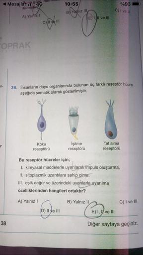 göre
◄ Mesajlarni 4G
zilmiştir?
A) Yalnız I
TOPRAK
cilt
K1-
38
D) II ve III
Koku
reseptörü
10:55
B Yalnız III
0
D) II ve III
36. İnsanların duyu organlarında bulunan üç farklı reseptör hücre
aşağıda şematik olarak gösterilmiştir.
E), Il ve Ill
İşitme
resep