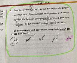 rleş-
şlar-
Ime
ez?
mir
3.
İnsanlar yaşlandıkça olgun ve tatlı bir meyve gibi daldan
düşmeye hazır hâle gelir. Bazen de yaşlı adam, ulu bir çınar
ağacı gibidir. Dalları göğe doğru yükselmiş ama içi geçmiş ve
|||
+ Ca
boşalmıştır. Bir gün esecek rüzgârla devrileceği anı bekler.
IV
V
Bu parçadaki altı çizili sözcüklerin hangisinde birden çok
ses olayı vardır?
BYT
A) I
4445
CY
E) V