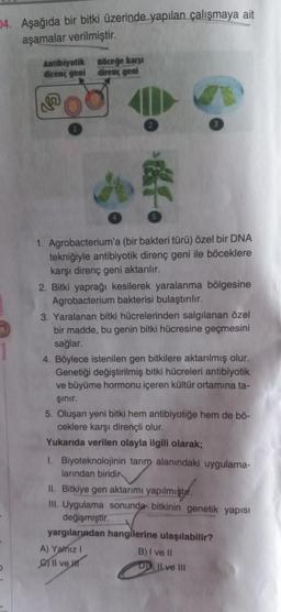 04. Aşağıda bir bitki üzerinde yapılan çalışmaya ait
aşamalar verilmiştir.
Antibiyotik
Böceğe karşı
direnç geni direnç geni
1. Agrobacterium'a (bir bakteri türü) özel bir DNA
tekniğiyle antibiyotik direnç geni ile böceklere
karşı direnç geni aktarılır.
2. Bitki yaprağı kesilerek yaralanma bölgesine
Agrobacterium bakterisi bulaştırılır.
3. Yaralanan bitki hücrelerinden salgılanan özel
bir madde, bu genin bitki hücresine geçmesini
sağlar.
4. Böylece istenilen gen bitkilere aktarılmış olur.
Genetiği değiştirilmiş bitki hücreleri antibiyotik
ve büyüme hormonu içeren kültür ortamına ta-
şınır.
5. Oluşan yeni bitki hem antibiyotiğe hem de bö-
ceklere karşı dirençli olur.
Yukarıda verilen olayla ilgili olarak;
1. Biyoteknolojinin tarım alanındaki uygulama-
larından biridir
II. Bitkiye gen aktarımı yapılmıştır.
III. Uygulama sonunda bitkinin genetik yapısı
değişmiştir.
yargılarından hangilerine ulaşılabilir?
A) Yalnız I
ve
B) I ve II
D), Ilve III