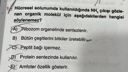 Hücresel solunumda kullanıldığında NH, çıkışı gözle-
nen organik molekül için aşağıdakilerden hangisi
söylenemez?
A) Ribozom organelinde sentezlenir.
B) Bütün çeşitlerini bitkiler üretebilir
Peptit bağı içermez.
D) Protein sentezinde kullanılır.
E Amfoter özellik gösterir.