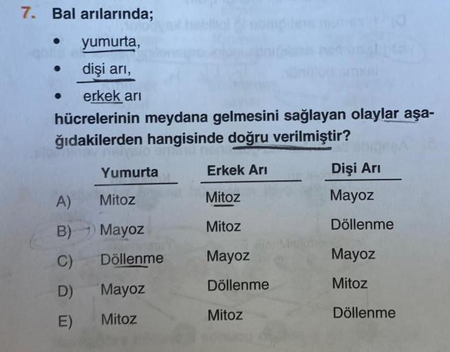 7. Bal arılarında;
yumurta,
dişi arı,
erkek arı
hücrelerinin meydana gelmesini sağlayan olaylar aşa-
ğıdakilerden hangisinde doğru verilmiştir?
●
A)
B)
C)
D)
E)
Yumurta
Mitoz
Mayoz
Döllenme
Mayoz
Mitoz
Erkek Arı
Mitoz
Mitoz
Mayoz
Döllenme
Mitoz
Dişi Arı
Ma