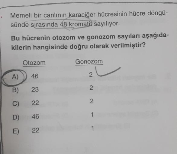 . Memeli bir canlının karaciğer hücresinin hücre döngü-
sünde sırasında 48 kromatit sayılıyor.
Bu hücrenin otozom ve gonozom sayıları aşağıda-
kilerin hangisinde doğru olarak verilmiştir?
A)
B)
C)
D)
E)
Otozom
46
23
22
46
22
Gonozom
222
1