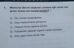 1.
Mantarlar âlemini oluşturan canlılarla ilgili olarak aşa-
ğıdaki ifadelerden hangisi yanlıştır?
A) Ölü artıkları ayrıştırabilirler.
B) Depo karbonhidrati glikojendir.
C) Ökaryot hücre yapısına sahiptir.
D) Fotosentez yaparak organik madde sentezler.
E) Kitin yapılı hücre duvarı taşır.