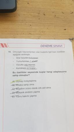 19. Omurgalı hayvanlardan olan kuşlarla ilgili bazı özellikler
aşağıda verilmiştir.
İdrar keseleri bulunmaz.
Yumurtalıkları 1 adettif.
DENEME SINAVI
Vücutta yağ depolar.
Kemiklerin içi boştur.
Bu özellikler sayesinde kuşlar hangi adaptasyona
sahip olmuştur?
A) Uçmayı kolaylaştıma
-B) Ktoaka sahip olma
C) Boşaltım ürünü olarak ürik asit atma
D) Mekanik sindirim yapma
E) Yavru bakımı yapma