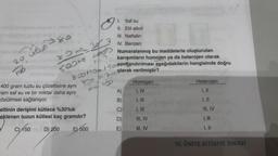 o
20
1180
WOD
Fab
1.
II.
III. Naftalin
IV. Benzen
Numaralanmış bu maddelerle oluşturulan
karışımların homojen ya da heterojen olarak
820 +10 150 Sinlandırılması aşağıdakilerin hangisinde doğru
79larak verilmiştir?
F₂=721
O
800-323
sosto LOST
K
400 gram tuzlu su çözeltisine aynı
ram saf su ve bir miktar daha aynı
çözülmesi sağlanıyor.
eltinin derişimi kütlece %30'luk
eklenen tuzun kütlesi kaç gramdır?
C) 150
D) 200
E)-500
ABODE
A)
B)
C)
D)
Saf su
Etil alkol
E)
Homojen
I, IV
I, III
III, IV
III, IV
Heterojen
I, II
III, IV
1, III
1, 11
10. ÜNİTE BİTİRME SINAVI