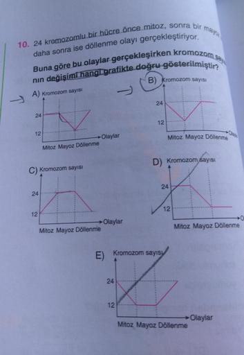 10. 24 kromozomlu bir hücre önce mitoz, sonra bir
daha sonra ise döllenme olayı gerçekleştiriyor.
Buna göre bu olaylar gerçekleşirken kromozom s
nın değişimi hangi grafikte doğru gösterilmiştir?
B) Kromozom sayısı
↑
A) Kromozom sayısı
24
12
C) Kromozom say