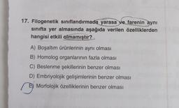 17. Filogenetik sınıflandırmada yarasa ve farenin aynı
sınıfta yer almasında aşağıda verilen özelliklerden
hangisi etkili olmamıştır?
A) Boşaltım ürünlerinin aynı olması
B) Homolog organlarının fazla olması
C) Beslenme şekillerinin benzer olması
D) Embriyolojik gelişimlerinin benzer olması
Morfolojik özelliklerinin benzer olması