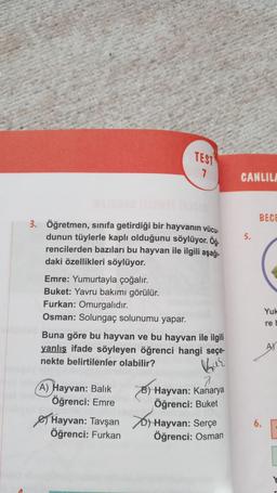 3. Öğretmen, sınıfa getirdiği bir hayvanın vücu.
dunun tüylerle kaplı olduğunu söylüyor. Öğ.
rencilerden bazıları bu hayvan ile ilgili aşağı.
daki özellikleri söylüyor.
Emre: Yumurtayla çoğalır.
Buket: Yavru bakımı görülür.
Furkan: Omurgalıdır.
Osman: Solungaç solunumu yapar.
TEST
7
Buna göre bu hayvan ve bu hayvan ile ilgili
yanlış ifade söyleyen öğrenci hangi seçe
nekte belirtilenler olabilir?
A) Hayvan: Balık
Öğrenci: Emre
Hayvan: Tavşan
Öğrenci: Furkan
7
B) Hayvan: Kanarya
Öğrenci: Buket
Hayvan: Serçe
Öğrenci: Osman
CANLILA
5.
BECE
6.
Yuk
re
AY