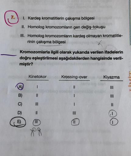 7.
I. Kardeş kromatitlerin çakışma bölgesi
II. Homolog kromozomların gen değiş-tokuşu
III. Homolog kromozomların kardeş olmayan kromatitle-
rinin çakışma bölgesi
Kromozomlarla ilgili olarak yukarıda verilen ifadelerin
doğru eşleştirilmesi aşağıdakilerden h