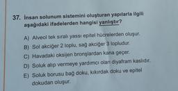 37. İnsan solunum sistemini oluşturan yapılarla ilgili
aşağıdaki ifadelerden hangisi yanlıştır?
A) Alveol tek sıralı yassı epitel hücrelerden oluşur.
B) Sol akciğer 2 loplu, sağ akciğer 3 lopludur.
C) Havadaki oksijen bronşlardan kana geçer.
D) Soluk alıp vermeye yardımcı olan diyafram kaslıdır.
E) Soluk borusu bağ doku, kıkırdak doku ve epitel
dokudan oluşur.