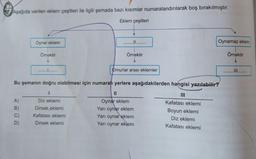 0
Aşağıda verilen eklem çeşitleri ile ilgili şemada bazı kısımlar numaralandırılarak boş bırakılmıştır.
Eklem çeşitleri
ABCD
A)
B)
C)
Oynar eklem
D)
Örnektir
Bu şemanın doğru olabilmesi için numaralı yerlere aşağıdakilerden hangisi yazılabilir?
1
III
Diz eklemi
Dirsek eklemi
Kafatası eklemi
Dirsek eklemi
...........
........II........
Örnektir
Omurlar arası eklemler
11
Oynar eklem
Yarı oynar eklem
Yarı oynar eklem
Yarı oynar eklem
Kafatası eklemi
Boyun eklemi
Diz eklemi
Kafatası eklemi
Oynamaz eklem
Örnektir
.III..