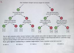 5.
D
28
Ortam farklılığında
sesler farklı duyulur.
D
Ses boşlukta daha
süratli yayılır.
Ses maddenin titreşimi sonucu oluşan bir enerjidir.
48
6s
Y
Işık, sesten
daha süratlidir.
88
D
Yazın sesimiz kış
aylarına göre daha
süratlidir.
D
Gök gürültüsünden
sonra şimşek gözlenir.
10s
Ses, Siv ortamda
katı ortamlara göre
daha hızlı yayılır.
D
12s 149
18s
Ses ile ilgili yukanda verilen kavram haritasını doğru şekilde takip eden bir öğrenci doğru çıkışa ulaştıktan sonra
çıkışta yazan süreyi not ediyor. Daha sonra yankı oluştuğunu bildiği bir vadi karşısında belirli bir uzaklıktan bağır-
dığında yazmış olduğu süre kadar sonra kendi sesini duymak istiyor.
Buna göre öğrenci vadiden kaç m uzaktan bağırmalıdır? (Sesin havadaki sürati 340 m/sn'dir)
E) 3400 m
C) 1360 m
D) 2040 m
A) 680 m
B) 1020 m
