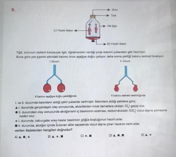 9.
(L) Plastik Balon
Boru
Tipa
Pet Şişe
C) *,
(K) Plastik Balon
Yiğit, solunum sistemi konusuyla ilgili, öğretmeninin verdiği proje ödevini yukarıdaki gibi hazırlıyor.
Buna göre pet şişenin altındaki balonu önce aşağıya doğru çekiyor, daha sonra çektiği ba