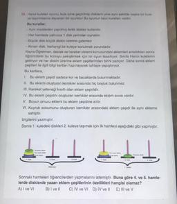 18. Hanoi kuleleri oyunu, kule içine geçirilmiş disklerin yine aynı şekilde başka bir kule-
ye taşınmasına dayanan bir oyundur.Bu oyunun bazı kuralları vardır.
Bu kurallar;
- Aynı maddeden yapılmış farklı diskler kullanılır.
- Her hamlede yalnızca 1 disk yerinden oynatılır.
- Büyük disk küçük diskin üzerine gelemez.
- Alınan disk, herhangi bir kuleye konulmak zorundadır.
Kayra Öğretmen, destek ve hareket sistemi konusundaki eklemleri anlattıktan sonra
öğrencilerle bu konuyu pekiştirmek için bir oyun tasarlıyor. Sınıfa Hanoi kulelerini
getiriyor ve her diskin üzerine eklem çeşitlerinden birini yazıyor. Daha sonra eklem
çeşitleri ile ilgili bilgi kartları hazırlayarak tahtaya yapıştırıyor.
Bu kartlara,
1. Bu eklem çeşidi sadece kol ve bacaklarda bulunmaktadır.
II. Bu eklemi oluşturan kemikler arasında hiç boşluk bulunmaz.
III. Hareket yeteneği kısıtlı olan eklem çeşididir.
IV. Bu eklem çeşidini oluşturan kemikler arasında eklem sıvısı vardır.
V. Boyun omuru eklemi bu eklem çeşidine aittir.
VI. Kuyruk sokumunu oluşturan kemikler arasındaki eklem çeşidi ile aynı ekleme
sahiptir.
bilgilerini yazmıştır.
Sonra 1. kuledeki diskleri 2. kuleye taşımak için ilk hamleyi aşağıdaki gibi yapmıştır.
1. Kule
Oynama ekiem
Yan oynar oklam
Oynar eklem
2. Kule
Baplangic
b
3. Kule
1. Kufe
Yan oynar ckm
Oynar okdem
2. Kule
1. Hamle
Oynamaz eklem
3. Kule
Sonraki hamleleri öğrencilerden yapmalarını istemiştir. Buna göre 4. ve 5. hamle-
lerde disklerde yazan eklem çeşitlerinin özellikleri hangisi olamaz?
A) I ve VI
B) I ve II C) IV ve VI D) IV ve II
E) III ve V