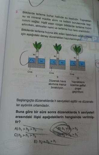 2.
Bitkilerde terleme buhar halinde su kaybıdır. Topraktan
su ve mineral madde alımı ve ksilem borularında taşı-
nımını sağlar. Hafif esen rüzgar bitkilerde terleme hızını
artırırken, atmosfer nemi ve terleme hızı ters orantılıdır.
Bitkilerde terleme hızın