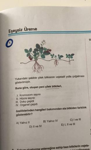 Eşeysiz Üreme
7.
Yukarıdaki şekilde çilek bitkisinin vejetatif yolla çoğalması
gösterilmiştir.
Buna göre, oluşan yeni çilek bitkileri,
1. Kromozom sayısı
II. Hücre sayısı
III. Doku çeşidi
IV. Organel çeşidi
özelliklerinden hangileri bakımından ata bitkiden