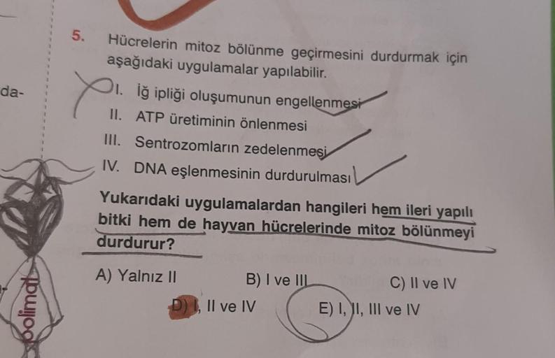 da-
Colimat
1
5. Hücrelerin mitoz bölünme geçirmesini durdurmak için
aşağıdaki uygulamalar yapılabilir.
1. İğ ipliği oluşumunun engellenmesi
II. ATP üretiminin önlenmesi
III. Sentrozomların zedelenmesi
IV. DNA eşlenmesinin durdurulması
Yukarıdaki uygulamal