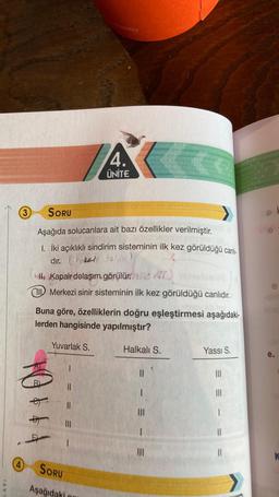 ARI
(3)
(4)
SORU
Aşağıda solucanlara ait bazı özellikler verilmiştir.
1. İki açıklıklı sindirim sisteminin ilk kez görüldüğü canli-
dır. 33/
I Kapalr dolaşım görülür. Ai
Merkezi sinir sisteminin ilk kez görüldüğü canlıdır.
Buna göre, özelliklerin doğru eşleştirmesi aşağıdaki-
lerden hangisinde yapılmıştır?
B
B
4.
ÜNİTE
Yuvarlak S.
||
SORU
Aşağıdaki
Halkalı S.
||
|||
Yassı S.
|||
I
K