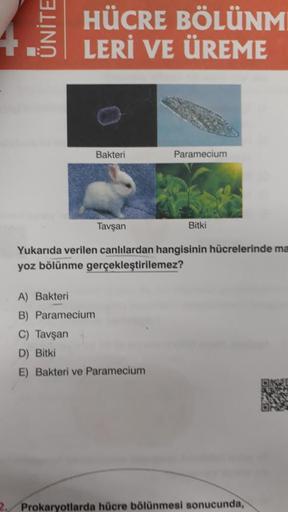 ÜNİTE
HÜCRE BÖLÜNMI
LERİ VE ÜREME
Bakteri
Tavşan
Paramecium
A) Bakteri
B) Paramecium
C) Tavşan
D) Bitki
E) Bakteri ve Paramecium
Bitki
Yukarıda verilen canlılardan hangisinin hücrelerinde ma
yoz bölünme gerçekleştirilemez?
2. Prokaryotlarda hücre bölünmesi