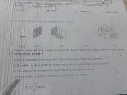 2.
veya Baska bir uzay aracından kopan parcas carparak Dünya'y duşebil
1 santimetreden küçük olan parçaların sayısı diğer um parçaların toplamindan daha fazladır
yorumlarından hangileri yapılabilir?)
A) Yalnız I
B) Ive t
Bir binayı oluşturan temel yapılar aşağıdaki gibi verilmiştir.
TUGLA
DUVAR
ODA
FEN BİLİMLERİ
C) II ve III
DAIRE
Canlilari oluşturan temel yapılar ile yukarıdaki yapıları eşleştirmek isteyen Buket'in yaptığı yorum-
lardan hangisi yanlıştır?
A) Binayı oluşturan en temel yapı olan tuğla, canlıların yapısındaki hücreye benzer.
B) Duvarların bir araya gelmesiyle oluşan odalar, canlıların yapısındaki organlara benzer.
C) Tüm yapıların bir araya gelerek oluşturduğu bina, organizmaya benzer.
D) Binayı oluşturan daireler, canlıların yapısındaki dokulara benzer.
BINA