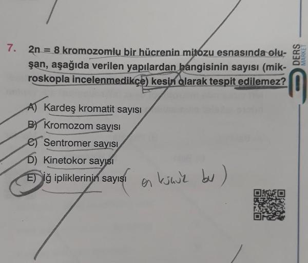 7. 2n = 8 kromozomlu bir hücrenin mitozu esnasında olu-
şan, aşağıda verilen yapılardan hangisinin sayısı (mik-
roskopla incelenmedikçe) kesin olarak tespit edilemez?
A) Kardeş kromatit sayısı
B) Kromozom sayısı
Sentromer sayısı
D) Kinetokor sayısı
E) Iğ i