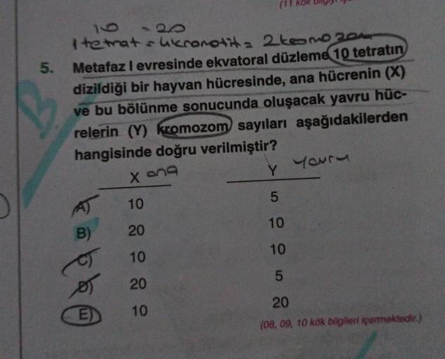 5.
obky
I tetrat- ukronotit = 2 kromo 201
Metafaz I evresinde ekvatoral düzleme 10 tetratin
dizildiği bir hayvan hücresinde, ana hücrenin (X)
ve bu bölünme sonucunda oluşacak yavru hüc-
relerin (Y) kromozom sayıları aşağıdakilerden
hangisinde doğru verilmi