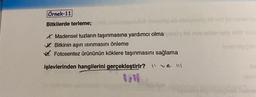 Örnek-11
Bitkilerde terleme;
lud lenssop ob obrivesdy bil ton cantsbisge
Diergey müt nini
learmigibob
X. Madensel tuzların taşınmasına yardımcı olmayesiy s nin
Bitkinin aşırı ısınmasını önleme
W.Fotosentez ürününün köklere taşınmasını sağlama
işlevlerinden hangilerini gerçekleştirir?e !!!