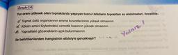 Örnek-14
Tuz oranı yüksek olan topraklarda yaşayan tuzcul bitkilerin topraktan su alabilmeleri, öncelikle;
✓ Toprak üstü organlarının emme kuvvetlerininin yüksek olmasının
W. Kökün emici tüylerindeki ozmotik basıncın yüksek olmasının
vi. Yapraktaki gözeneklerin açık bulunmasının
ile belirtilenlerden hangisinin etkisiyle gerçekleşir? \\\\\\
quia giriep nini
niniarves
Yalnız
Mob
upulo Moore ev hagin rnavs!
Freiblle obnoy uimulo Inissmissly stanolused nubo nyue holipood